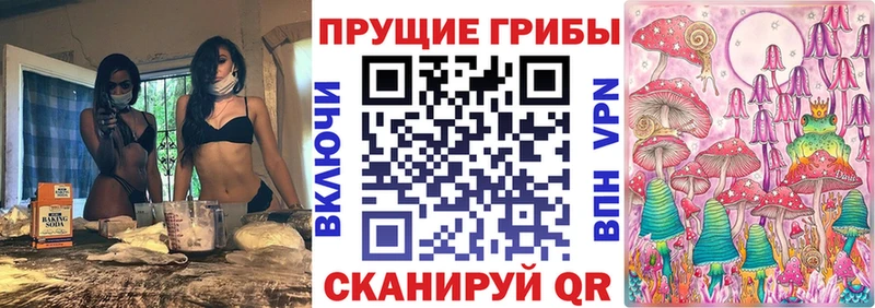 Псилоцибиновые грибы Psilocybe Симферополь