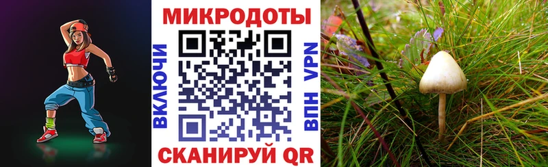 Псилоцибиновые грибы прущие грибы  hydra   darknet состав  Симферополь 